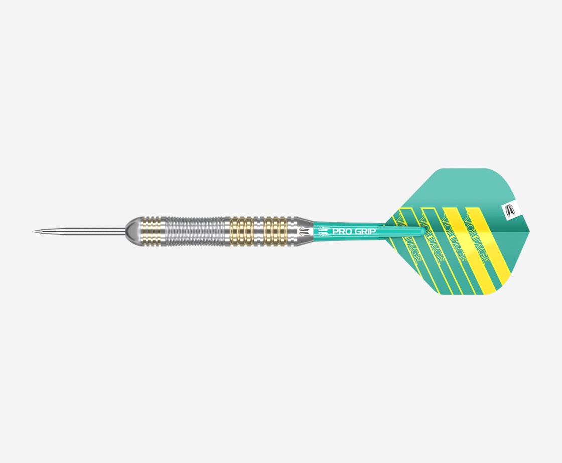 Rob Cross Brass Darts