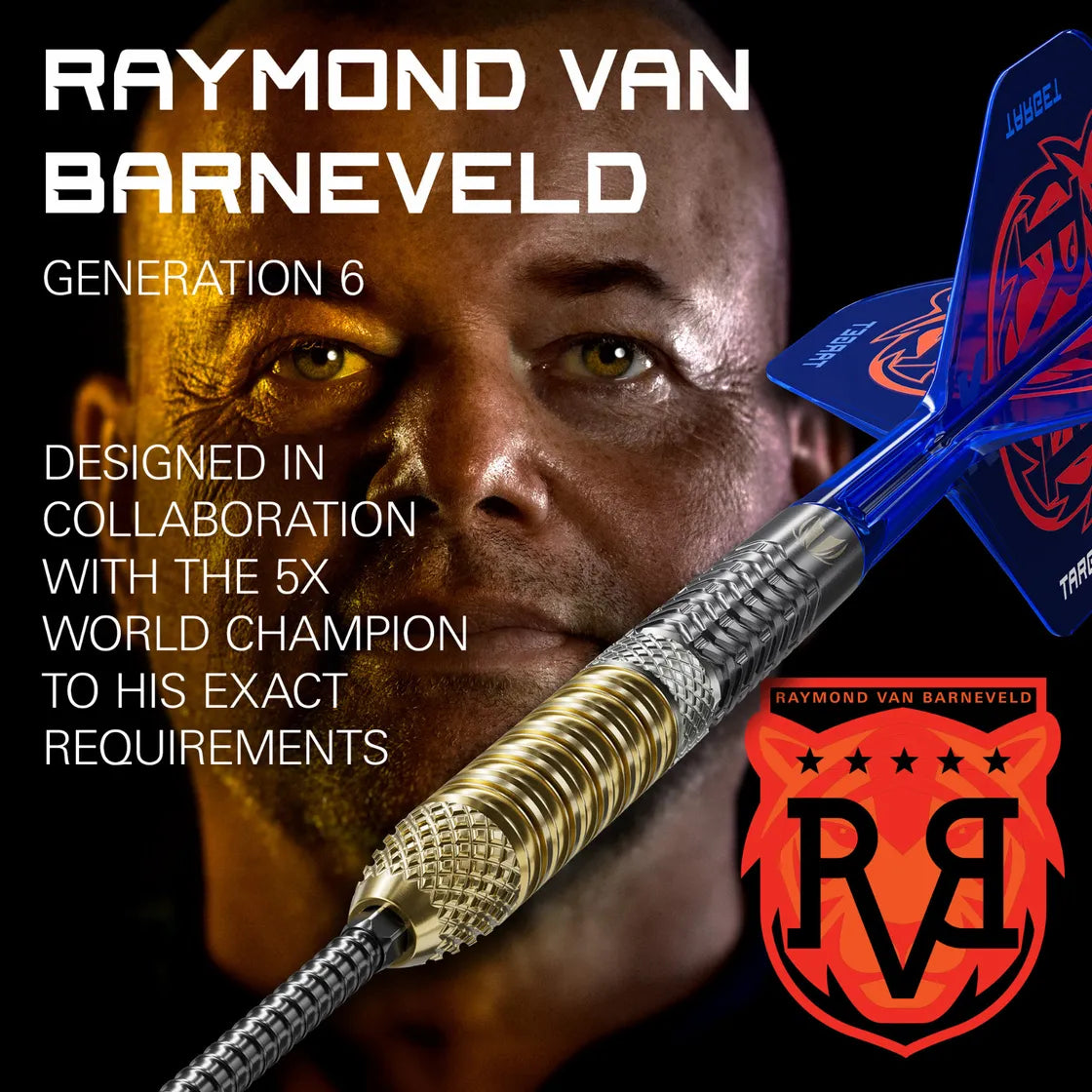 Raymond Van Barneveld G6 SP Steel Tip Darts