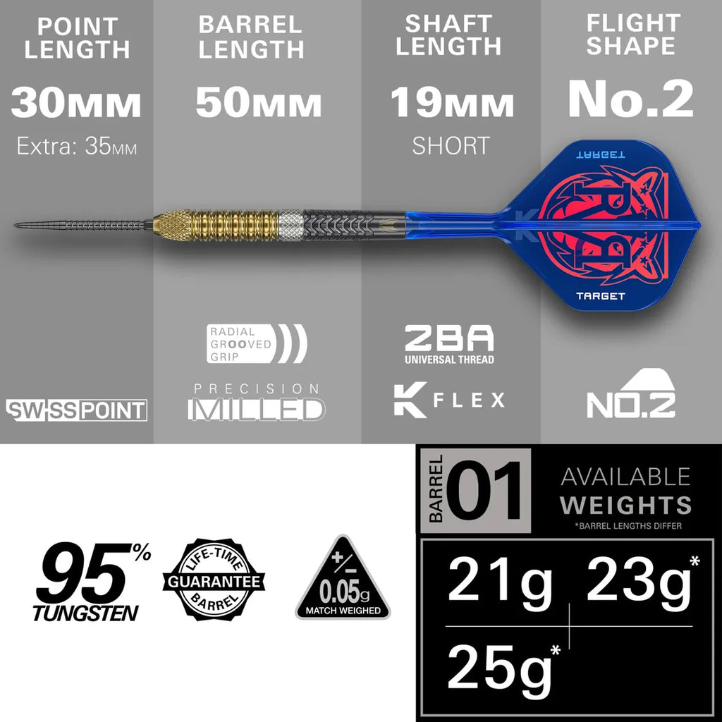 Raymond Van Barneveld G6 SP Steel Tip Darts