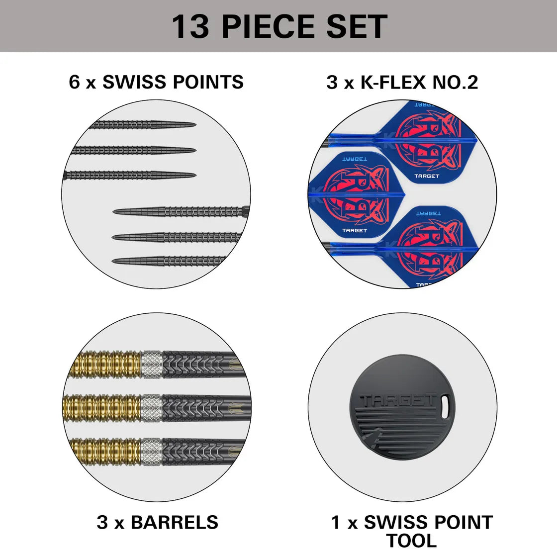 Raymond Van Barneveld G6 SP Steel Tip Darts